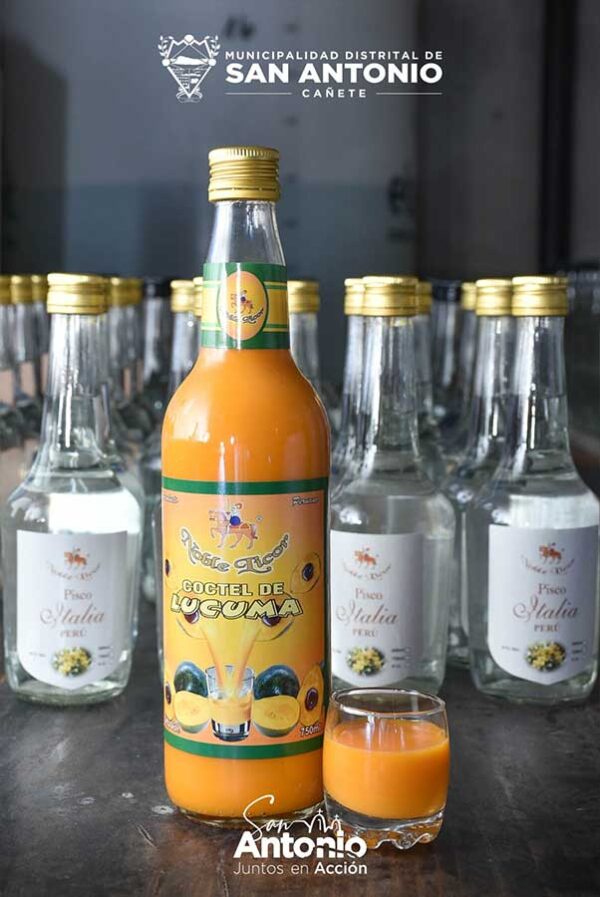 COCTEL DE LUCUMA