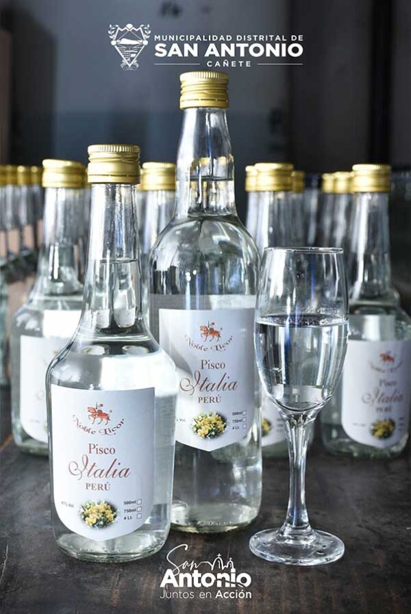 PISCO PURO ITALIA