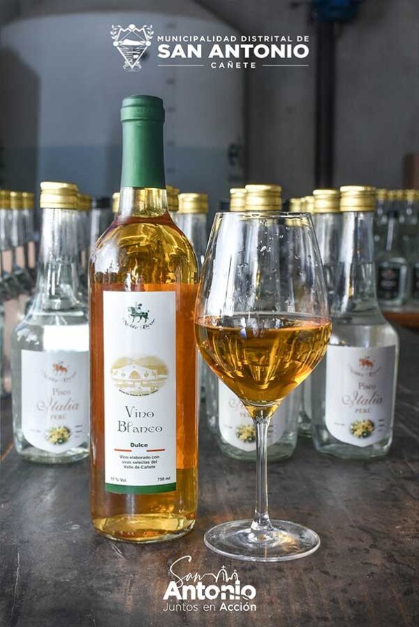 VINO BORGOÑA BLANCO SEMISECO