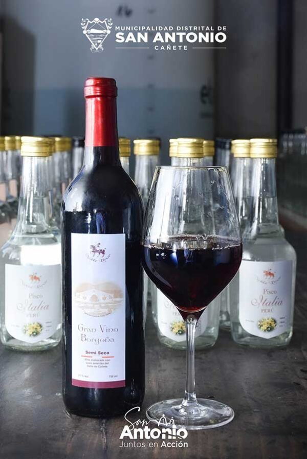 VINO BORGOÑA SEMISECO